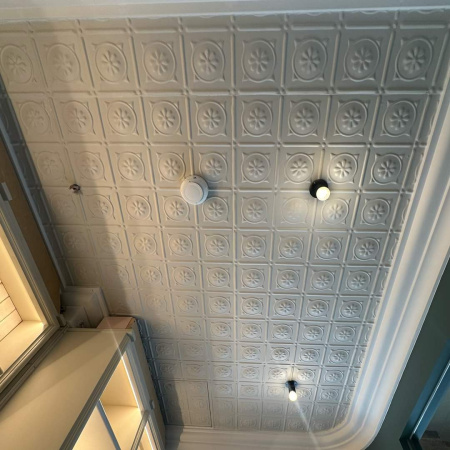 apm_arctic_daisy_ceiling_sydney