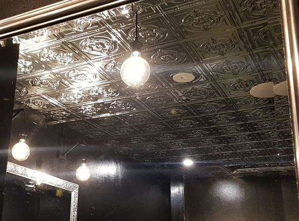 apm dudley ceiling 3 opt