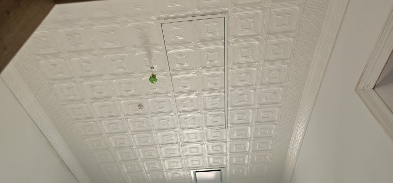 apm_kapunda_ceiling_2