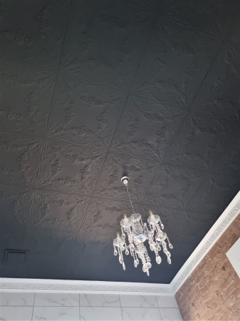 apm_sunflowers_blk_ceiling_adelaide_2_rsz