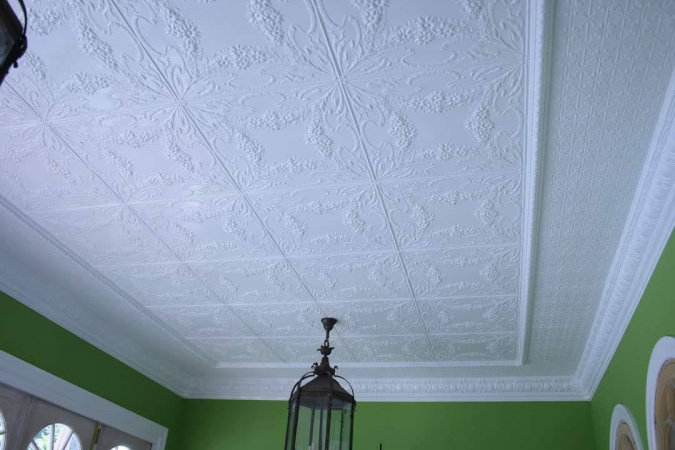 apm_sunflowers_brisbane