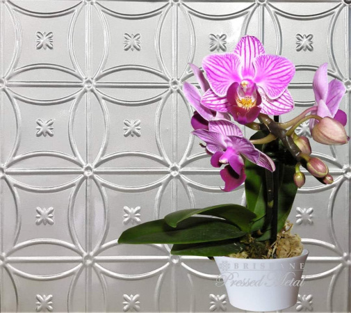 fb_img_1662442782094