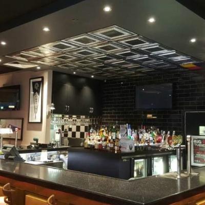 Apm Petersburg Suspended Ceiling