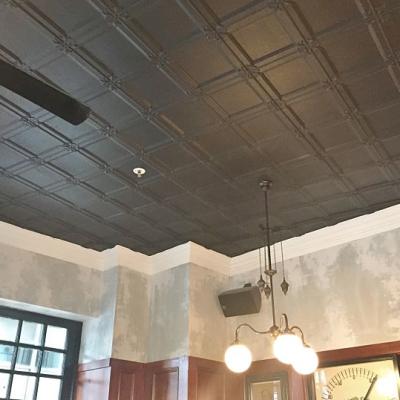 Apm Watson Bay Black Ceiling Opt