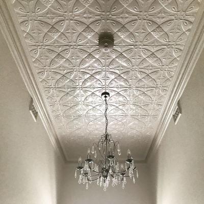 Apm Camillia Hall Ceiling Opt